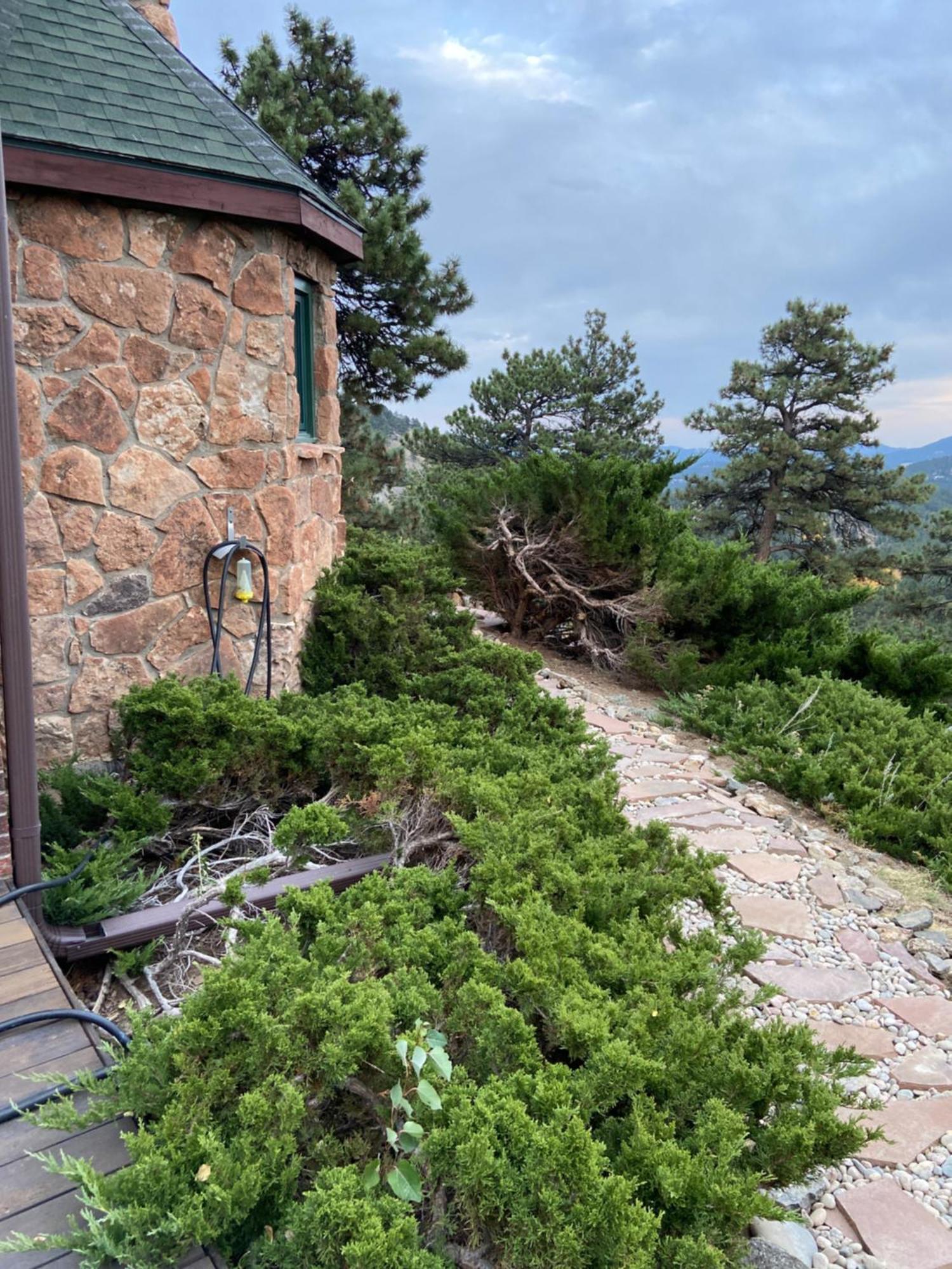Colorado Bed & Breakfast With Beautiful Views Evergreen Exterior photo